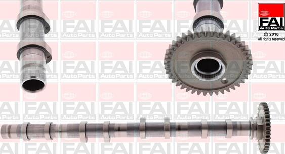 FAI AutoParts C393 - Camshaft onlydrive.pro