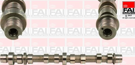 FAI AutoParts C359 - Camshaft onlydrive.pro