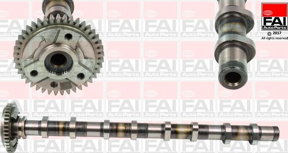 FAI AutoParts C381 - Camshaft onlydrive.pro