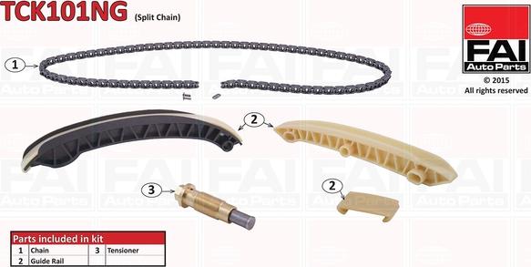 FAI AutoParts TCK101NG - Pavaros grandinės komplektas onlydrive.pro