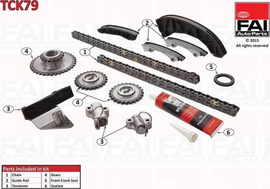 FAI AutoParts TCK79 - Timing Chain Kit onlydrive.pro