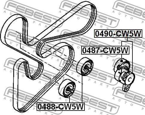 Febest 0487-CW5W - Parazīt / Vadrullītis, Ķīļrievu siksna onlydrive.pro