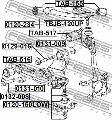 Febest 0129-016 - Camber Correction Screw onlydrive.pro