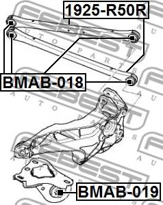 Febest 1925-R50R - Neatkarīgās balstiekārtas svira, Riteņa piekare onlydrive.pro