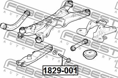 Febest 1829-001 - Camber Correction Screw onlydrive.pro