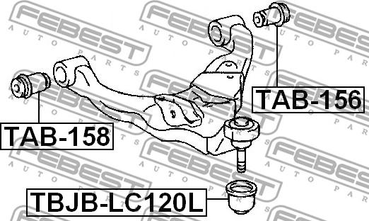 Febest TAB-156 - Bush of Control / Trailing Arm onlydrive.pro