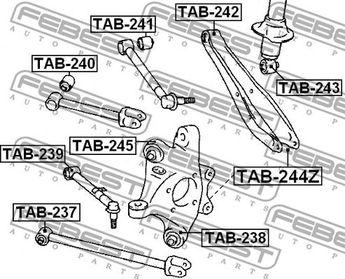 Febest TAB-244Z - Bush of Control / Trailing Arm onlydrive.pro