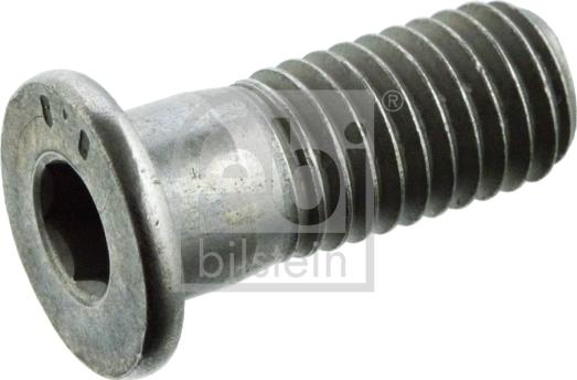 Febi Bilstein 01893 - Ruuvi, jarrulevy onlydrive.pro