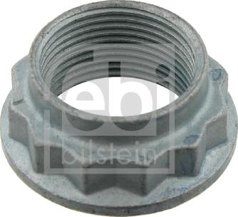 Febi Bilstein 01841 - Nut, stub axle onlydrive.pro