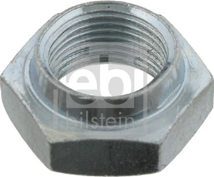 Febi Bilstein 02160 - Nut, stub axle onlydrive.pro