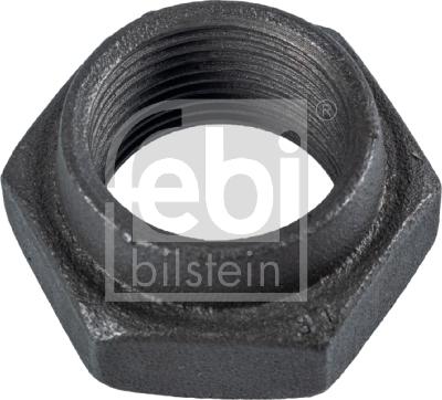 Febi Bilstein 19159 - Nut, stub axle onlydrive.pro