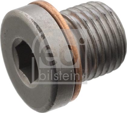 Febi Bilstein 101021 - Screw Plug, axle drive onlydrive.pro