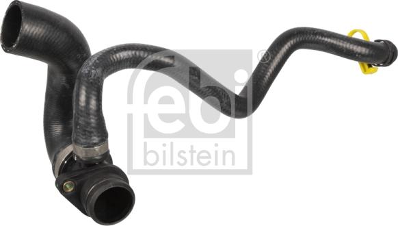 Febi Bilstein 171205 - Radiatoriaus žarna onlydrive.pro