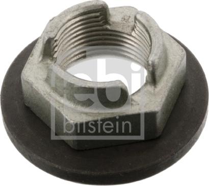 Febi Bilstein 22953 - Nut, stub axle onlydrive.pro