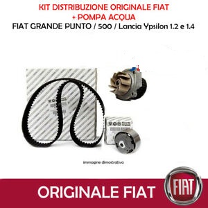FIAT 71776007 - Camshaft drive (var.: 2/rev.: 0): 1 pcs. onlydrive.pro