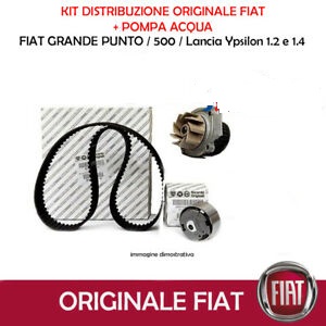 FIAT 71776007 - Water Pump & Timing Belt Set onlydrive.pro