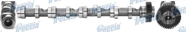 Freccia CM05-2195 - Camshaft onlydrive.pro