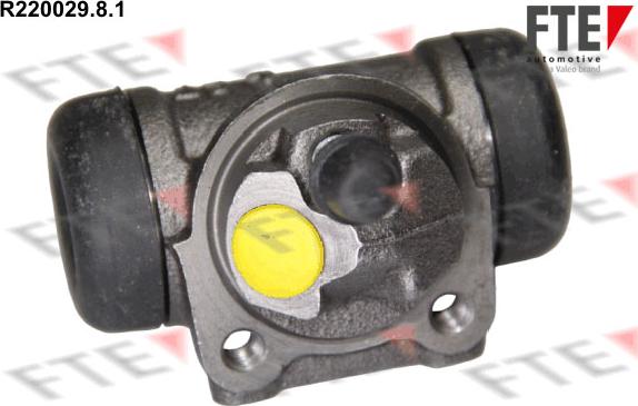 FTE R220029.8.1 - Wheel Brake Cylinder onlydrive.pro