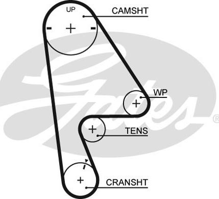 Gates 5409XS - Timing Belt onlydrive.pro