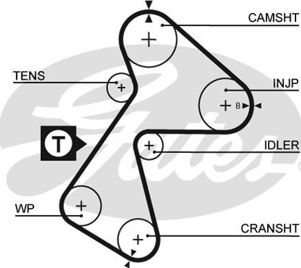 Gates 5484XS - Timing Belt onlydrive.pro