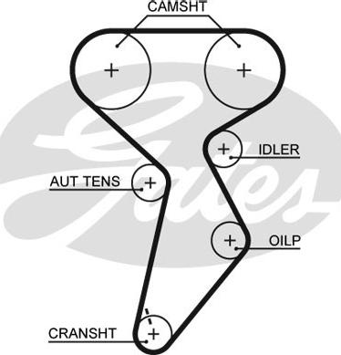 Gates 5432XS - Timing Belt onlydrive.pro