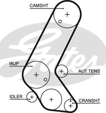 Gates 5595XS - Timing Belt onlydrive.pro