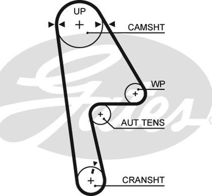 Gates T312RB - Timing Belt onlydrive.pro