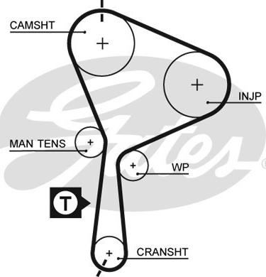 Gates 5552XS - Timing Belt onlydrive.pro