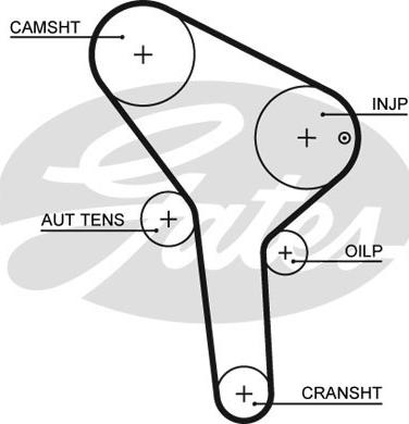 Gates 5564 XS - Timing Belt onlydrive.pro