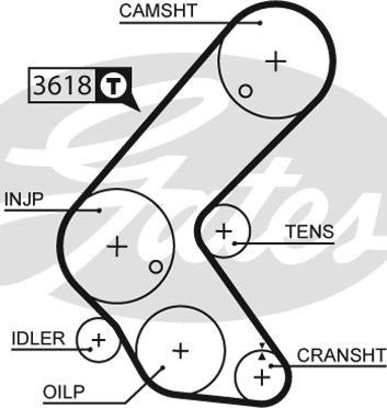 Gates 5563XS - Timing Belt onlydrive.pro