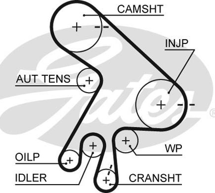 Gates K015562XS - Timing Belt Set onlydrive.pro