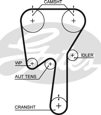 Gates 5509XS - Timing Belt onlydrive.pro