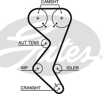 Gates 5528XS - Timing Belt onlydrive.pro