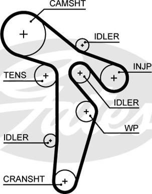 Gates 5648XS - Timing Belt onlydrive.pro