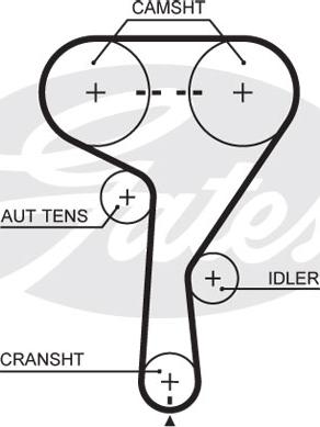 Gates 5603XS - Timing Belt onlydrive.pro