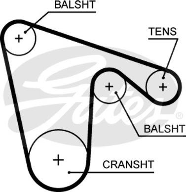 Gates 5619XS - Timing Belt onlydrive.pro