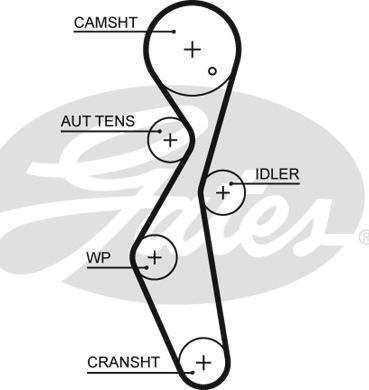 Gates 5672XS - Timing Belt onlydrive.pro