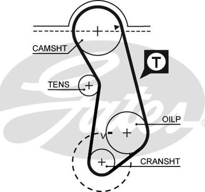 Gates 5016 - Hammasrihm onlydrive.pro