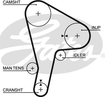 Gates 5190 - Hammashihnat onlydrive.pro