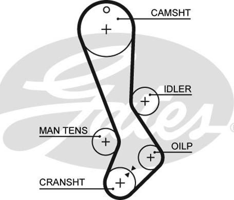 Gates 5282XS - Timing Belt onlydrive.pro