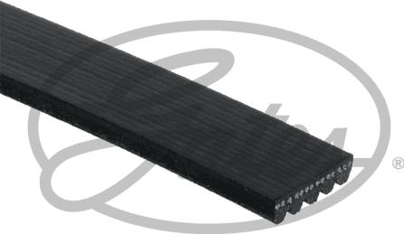 Gates 5PK1250 - V-Ribbed Belt onlydrive.pro