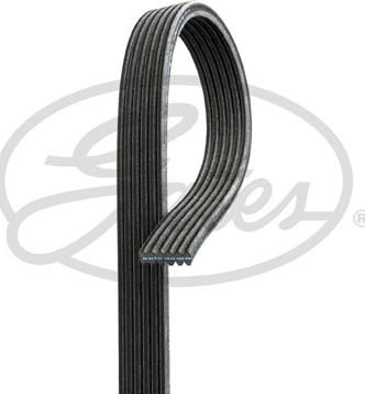 Gates 6DPK1360 - V-Ribbed Belt onlydrive.pro