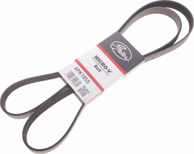 Gates 6PK1855 - V-Ribbed Belt onlydrive.pro