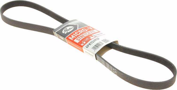 Gates 6PK1249SF - V-Ribbed Belt onlydrive.pro