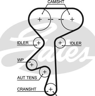 Gates 5369XS - Timing Belt onlydrive.pro
