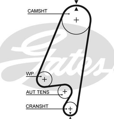 Gates 5367 XS - Timing Belt onlydrive.pro