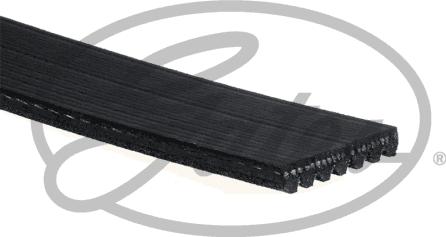 Gates 7PK2053 - V-Ribbed Belt onlydrive.pro