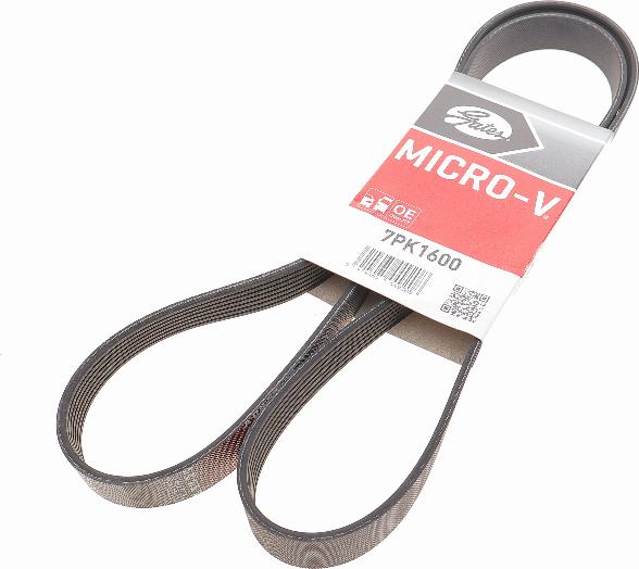 Gates 7PK1600 - V-Ribbed Belt onlydrive.pro