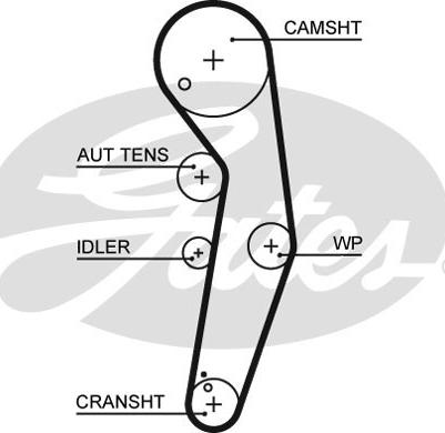 Gates K025569XS - Paskirstymo diržo komplektas onlydrive.pro