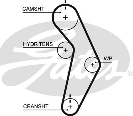 Gates T245RB - Timing Belt onlydrive.pro